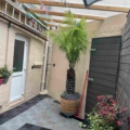 H302 Courtyard